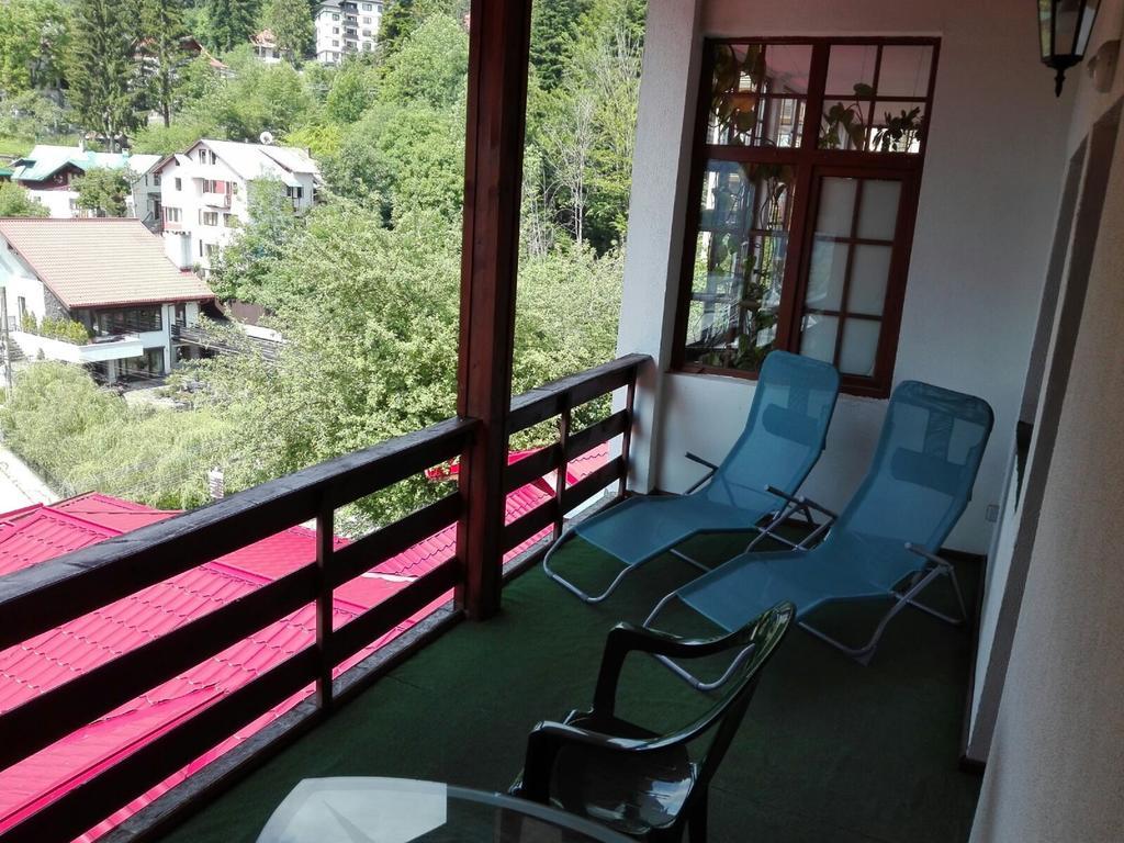 Guest house New Aosta Garden Sinaia