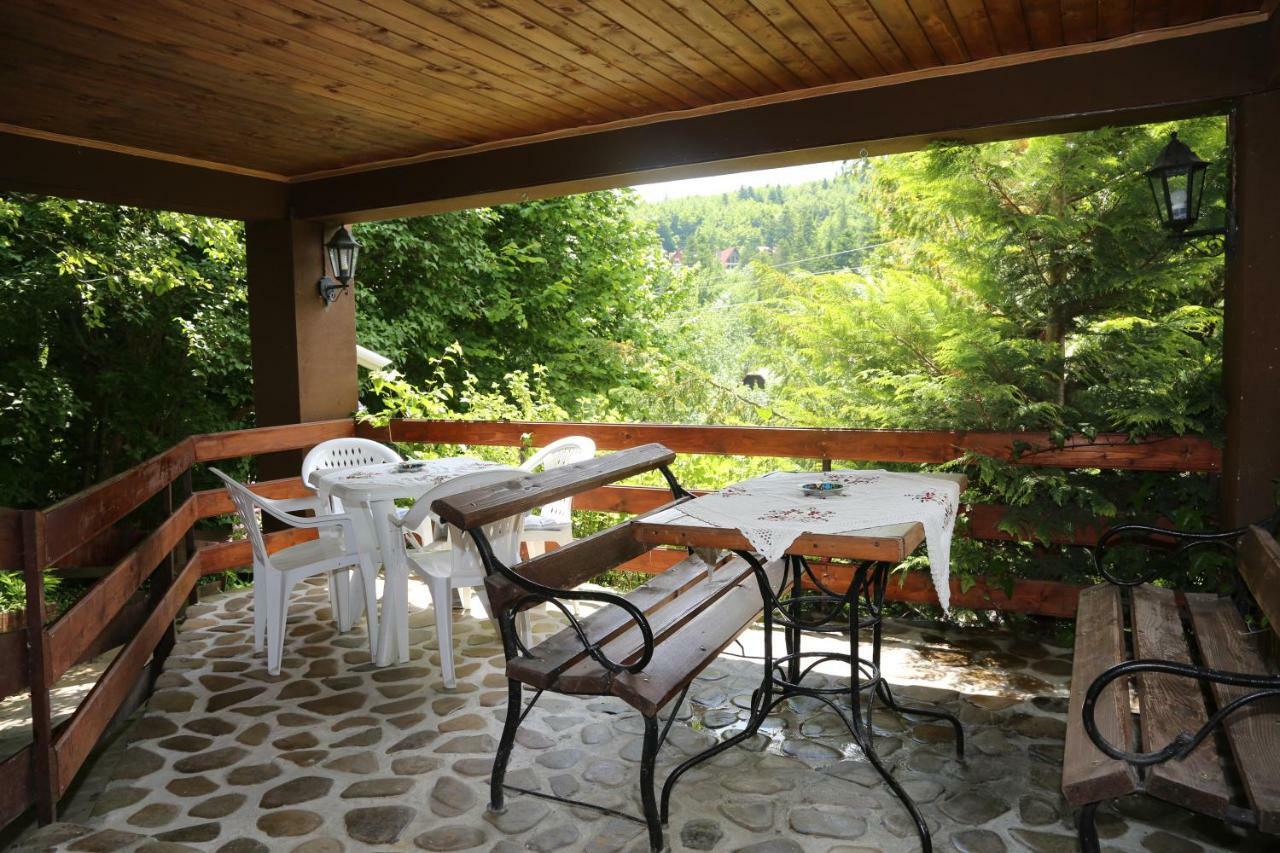 Pensiune New Aosta Garden Sinaia